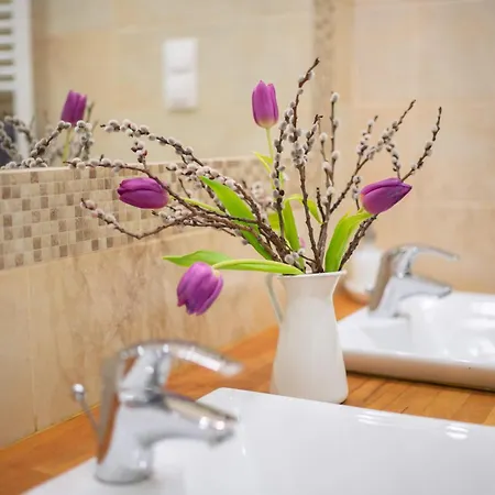 Apartment Jewel In Buda