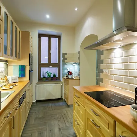 Jewel In Buda Apartment